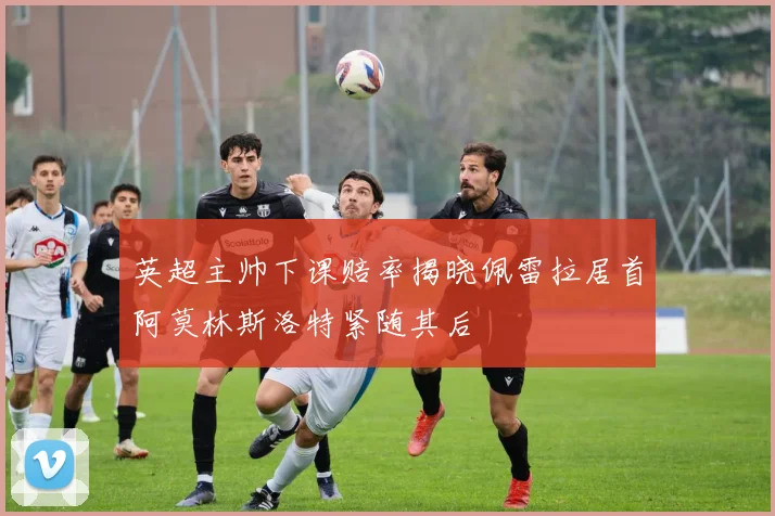 英超主帅下课赔率揭晓佩雷拉居首阿莫林斯洛特紧随其后