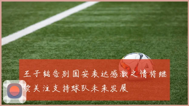 王子铭告别国安表达感激之情将继续关注支持球队未来发展