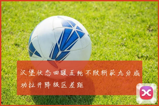 汉堡状态回暖五轮不败斩获九分成功拉开降级区差距