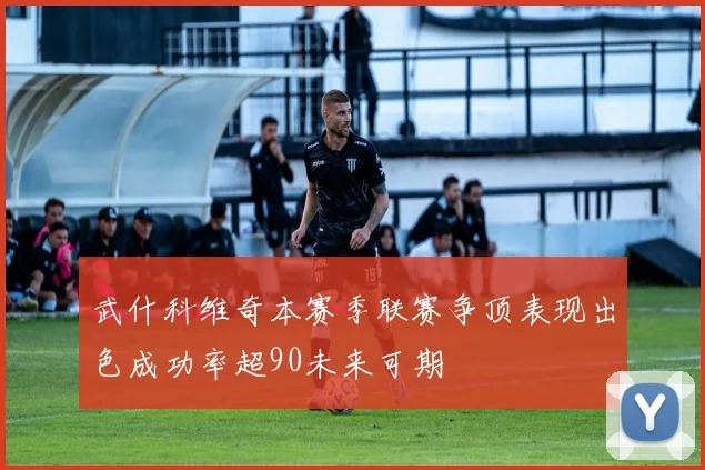 武什科维奇本赛季联赛争顶表现出色成功率超90未来可期