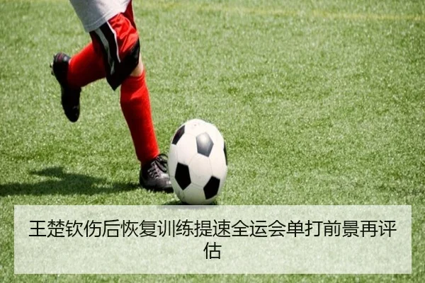 王楚钦伤后恢复训练提速全运会单打前景再评估 - BAJIESPORTS